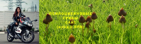 гашик Абинск